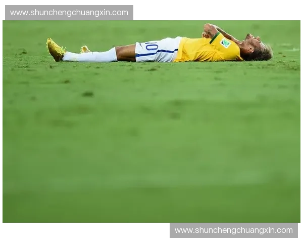 2014世界杯意大利队征战回顾与精彩表现解析